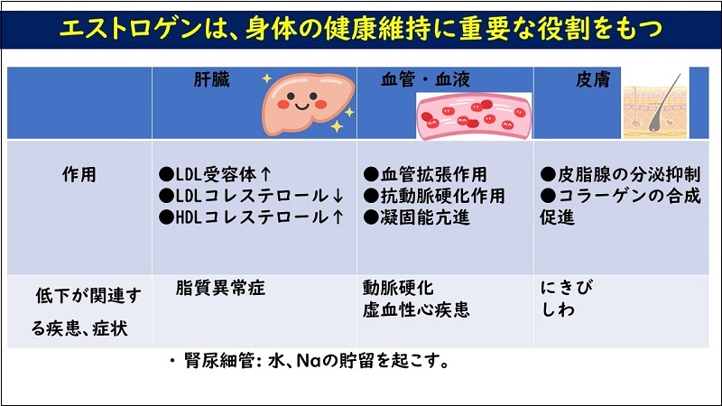 ホルモンバランスって大事なんです：スライド1.jpg