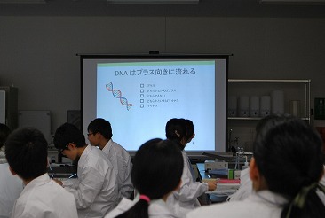 ラボ6