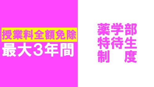 薬学部特待生制度2023