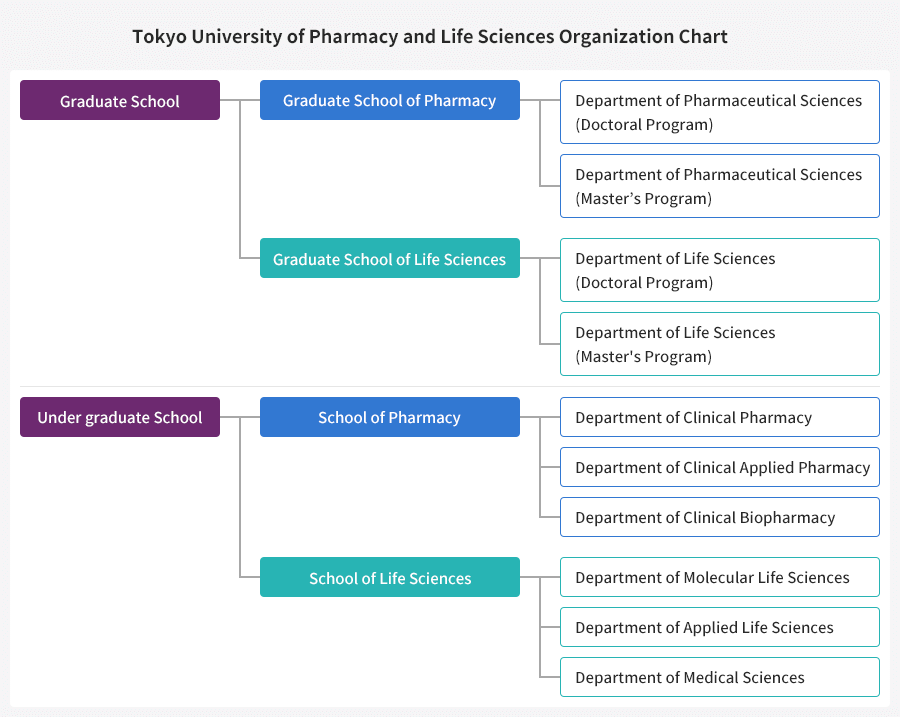 Organization