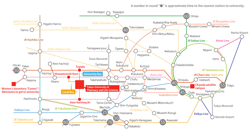 Access Map