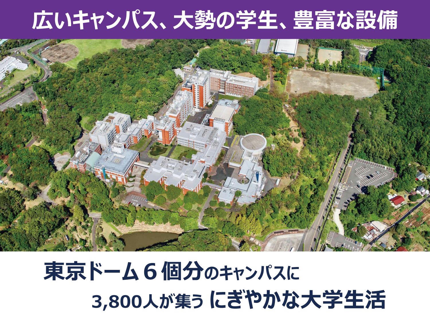 2024年度の東薬_1.png