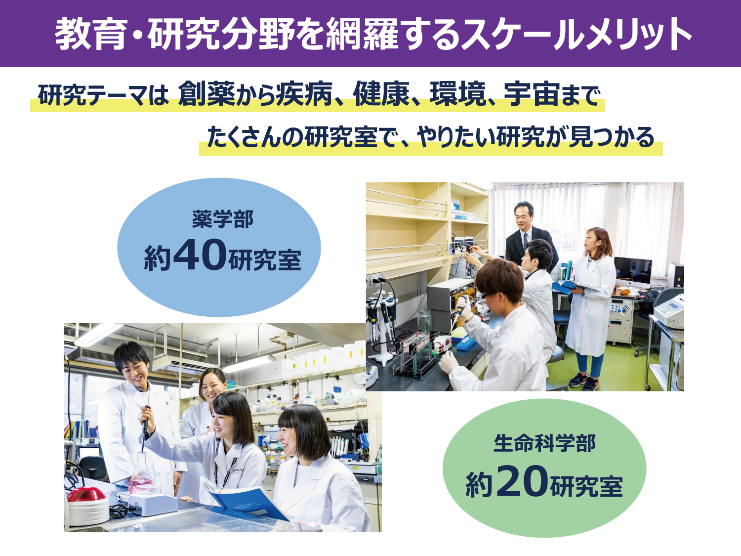 2024年度の東薬_2.png