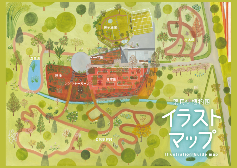 20250411map.png