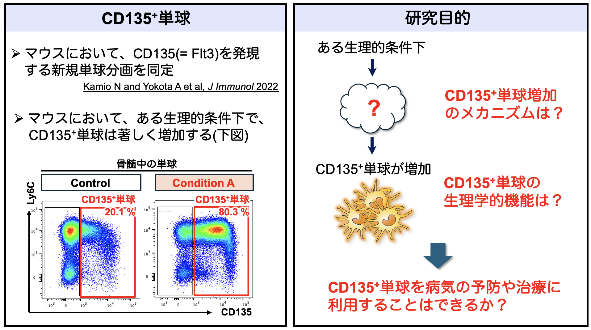 akaishi_buttobe2025_pic.png
