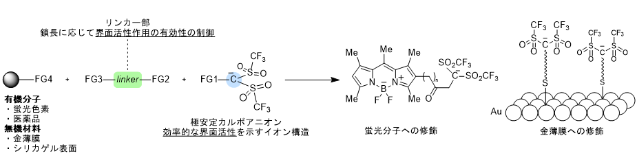 fujimoto_buttobe2025_pic.png