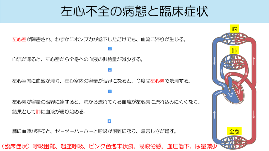 hara_t_01.PNG
