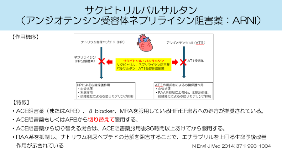 hara_t_02.PNG