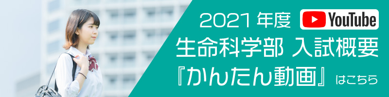 生命科学部 入試概要 入試概要 入試情報 東京薬科大学