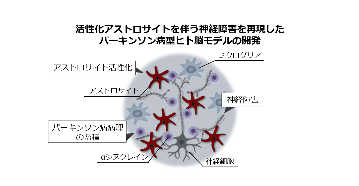 negishi_buttobe2025_pic.png