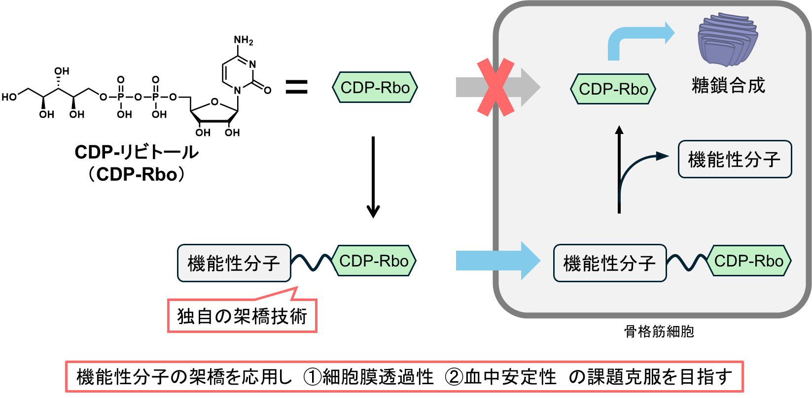 oohira_buttobe2025_pic.png
