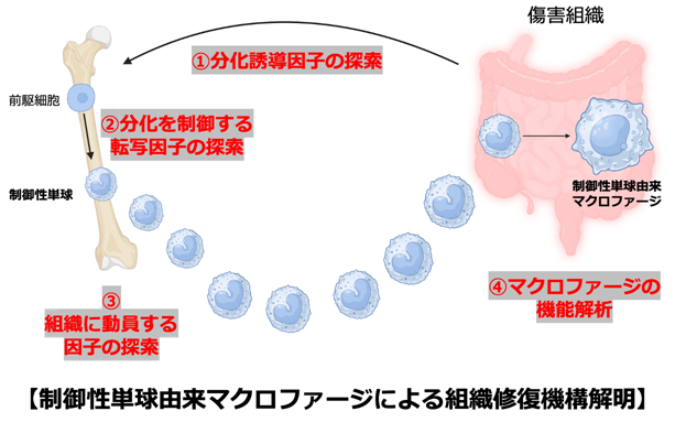 osada_buttobe2025_pic.png