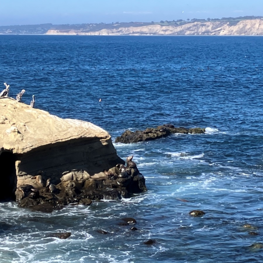 sanmarcosRP2025_101.jpg