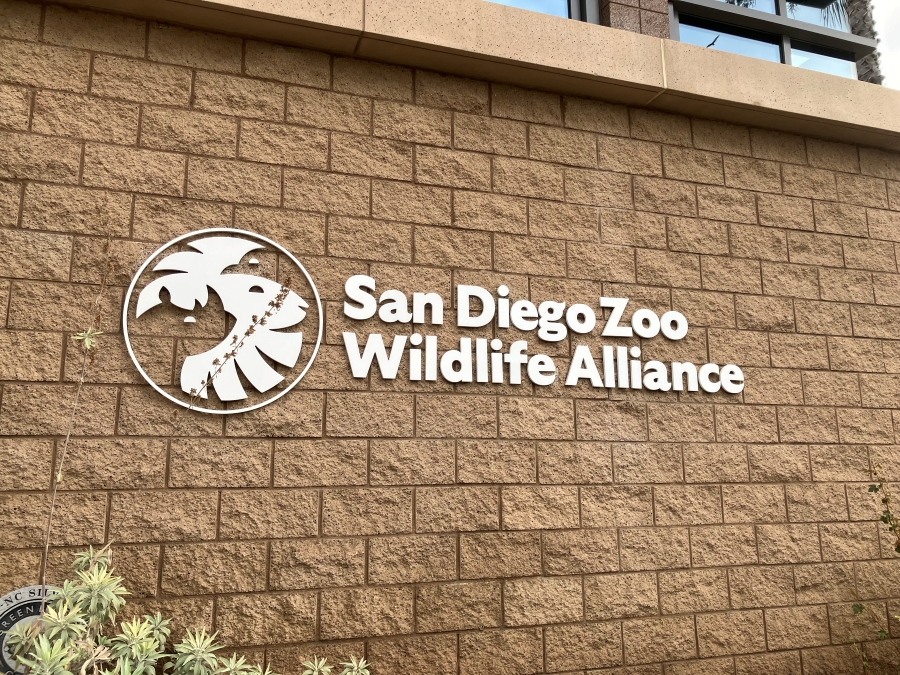 sanmarcosRP2025_204.jpg