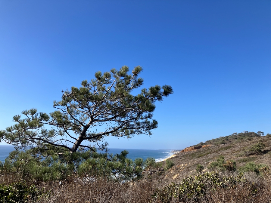 sanmarcosRP2025_601.jpg
