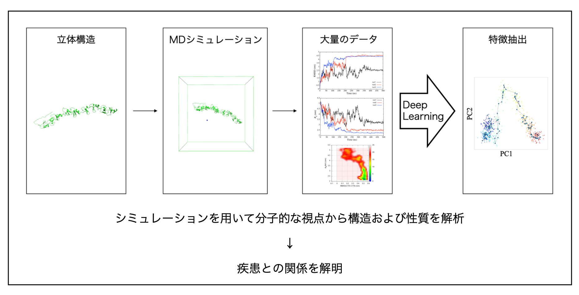 sekine_buttobe2025_pic.png