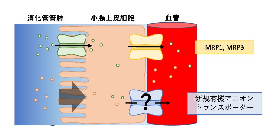 sugiyama_ga900.jpg