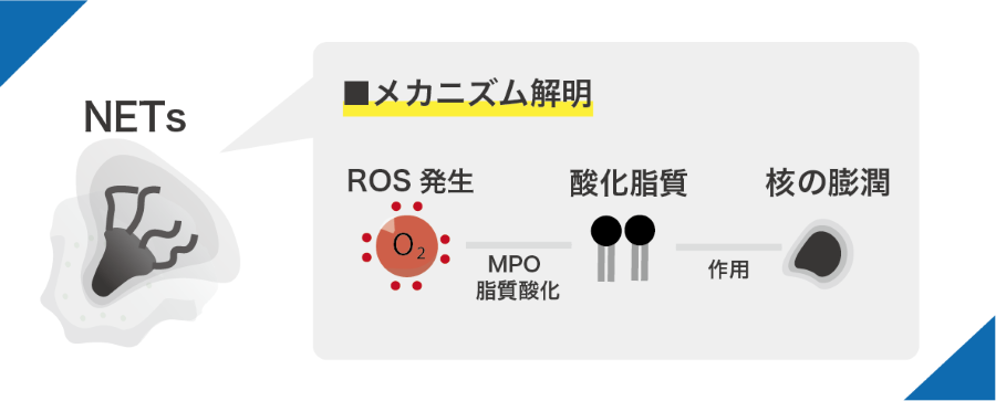 tokuhiro_ga900.png