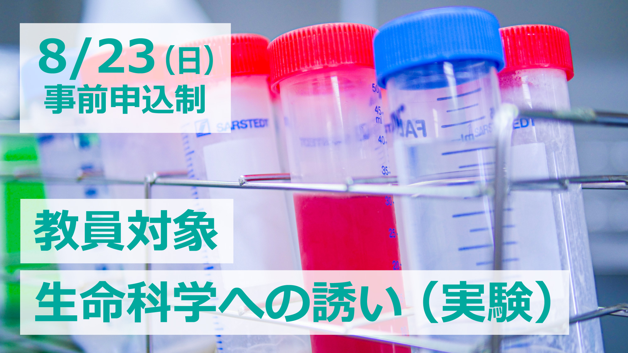 生命科学への誘い教員 アイキャッチ 2000×1125.jpg