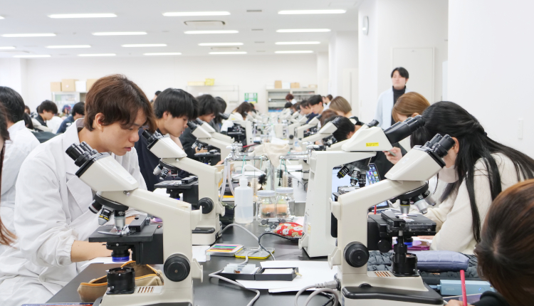 バラ売り可　実質一冊500円　東京薬科大学　生命科学部　2017,14,11年 生命科学部・大学院（生命科学研究科）｜東京薬科大学