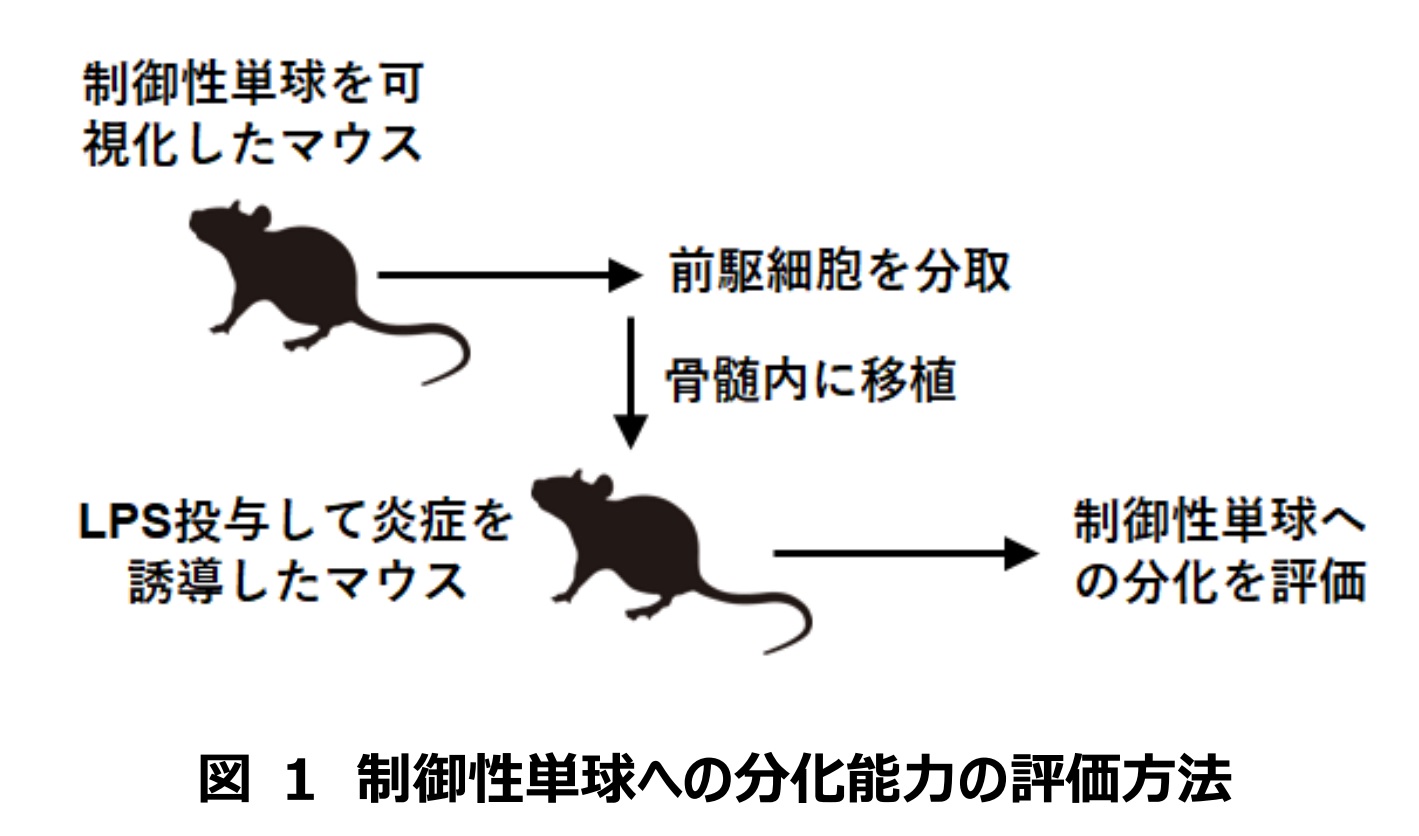 図1.jpg