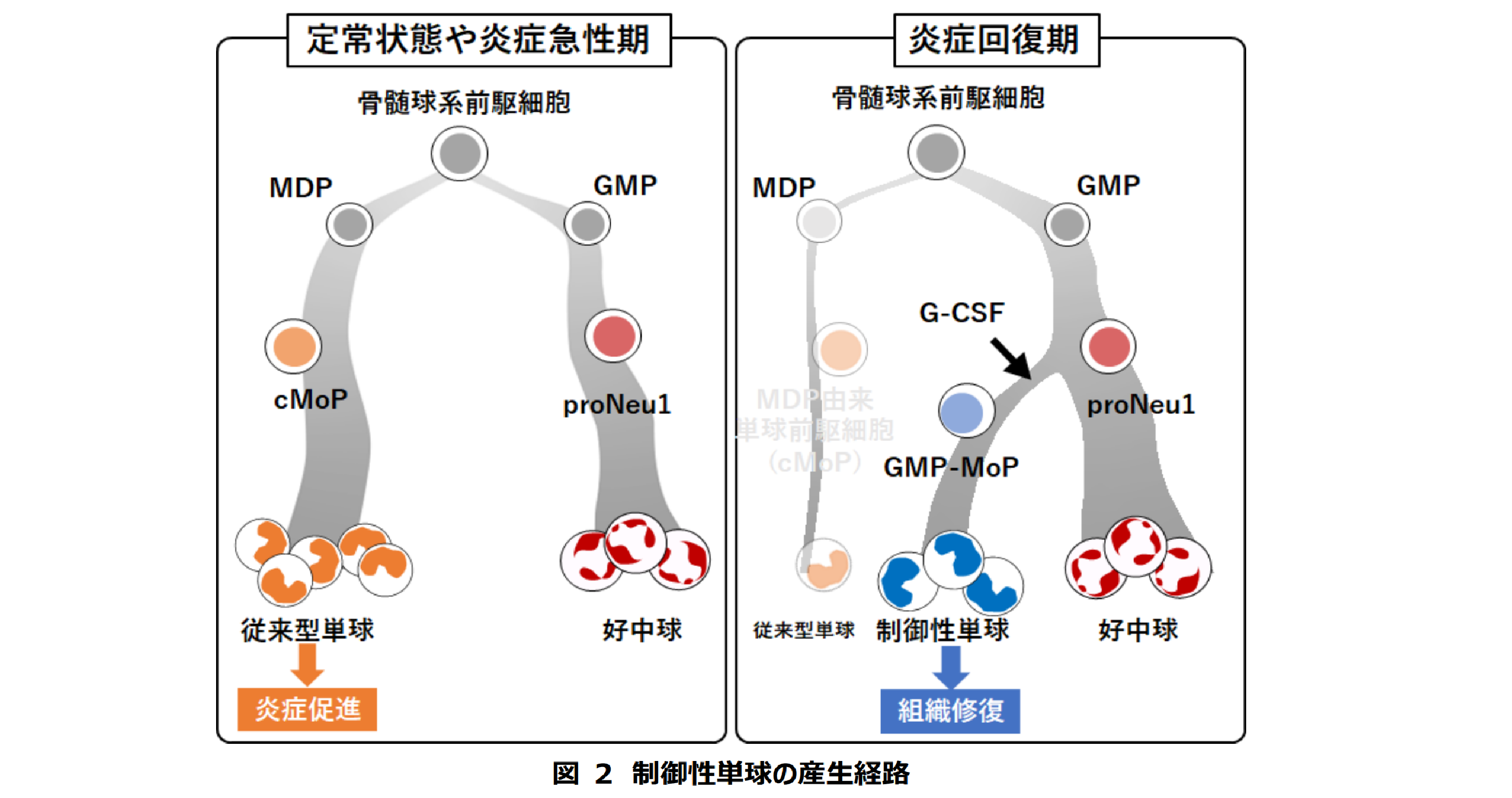 画像2-3.png