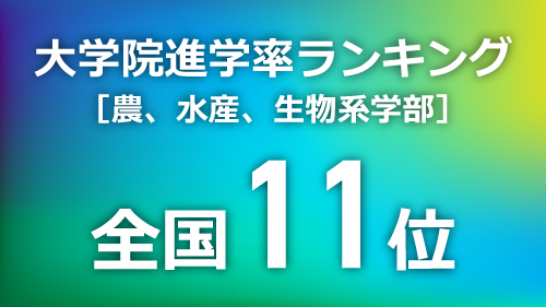 生命科学部が大学院進学率ランキング［農、水産、生物系学部］で全国11位にランクイン