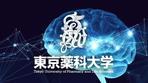 成熟した脳をつくるために必要な遺伝子の発見 -- 損傷脳の再生に向けた新たな治療戦略｜プレスリリース