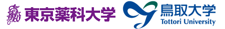 20241206-press_00.png