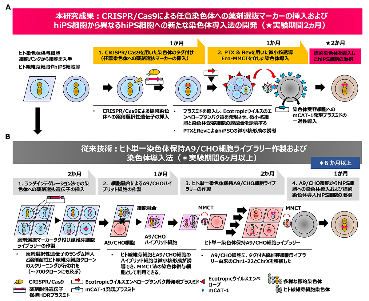 20241206-press_01.png