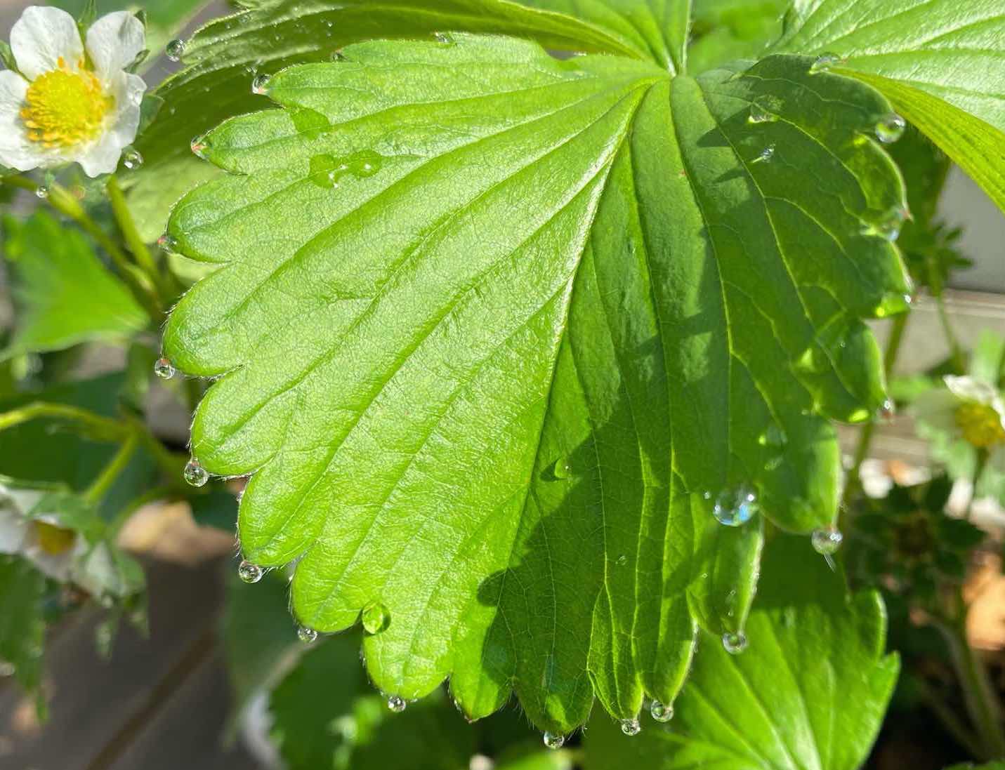 *コピー* 新しい豆知識のページが作成されました