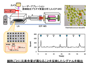 molbio-key28-image02.png