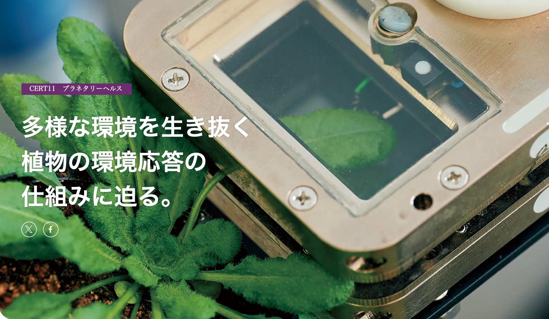 溝上先生らの研究がCERTで紹介されました