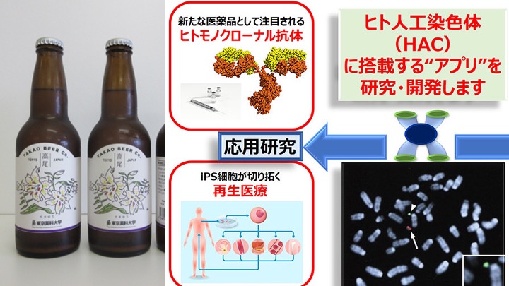オープンキャンパス模擬講義