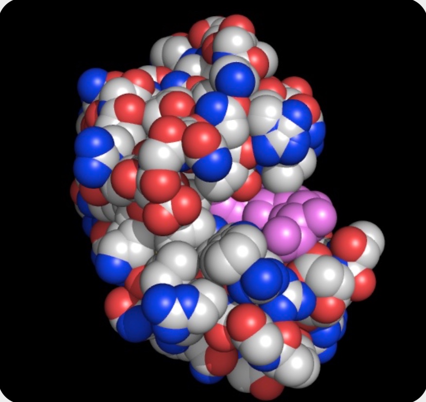 山岸明彦先生の名誉教授コラムが更新されました「タンパク質構造: なぜすごい?」