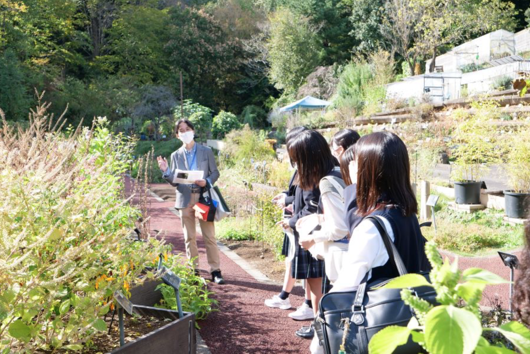 応用生態学研究室の野口教授が多摩科学技術高等学校のSSH事業「STEAM企画」に協力しました