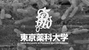 読売新聞にて、生命エネルギー工学研究室の研究内容が掲載されました