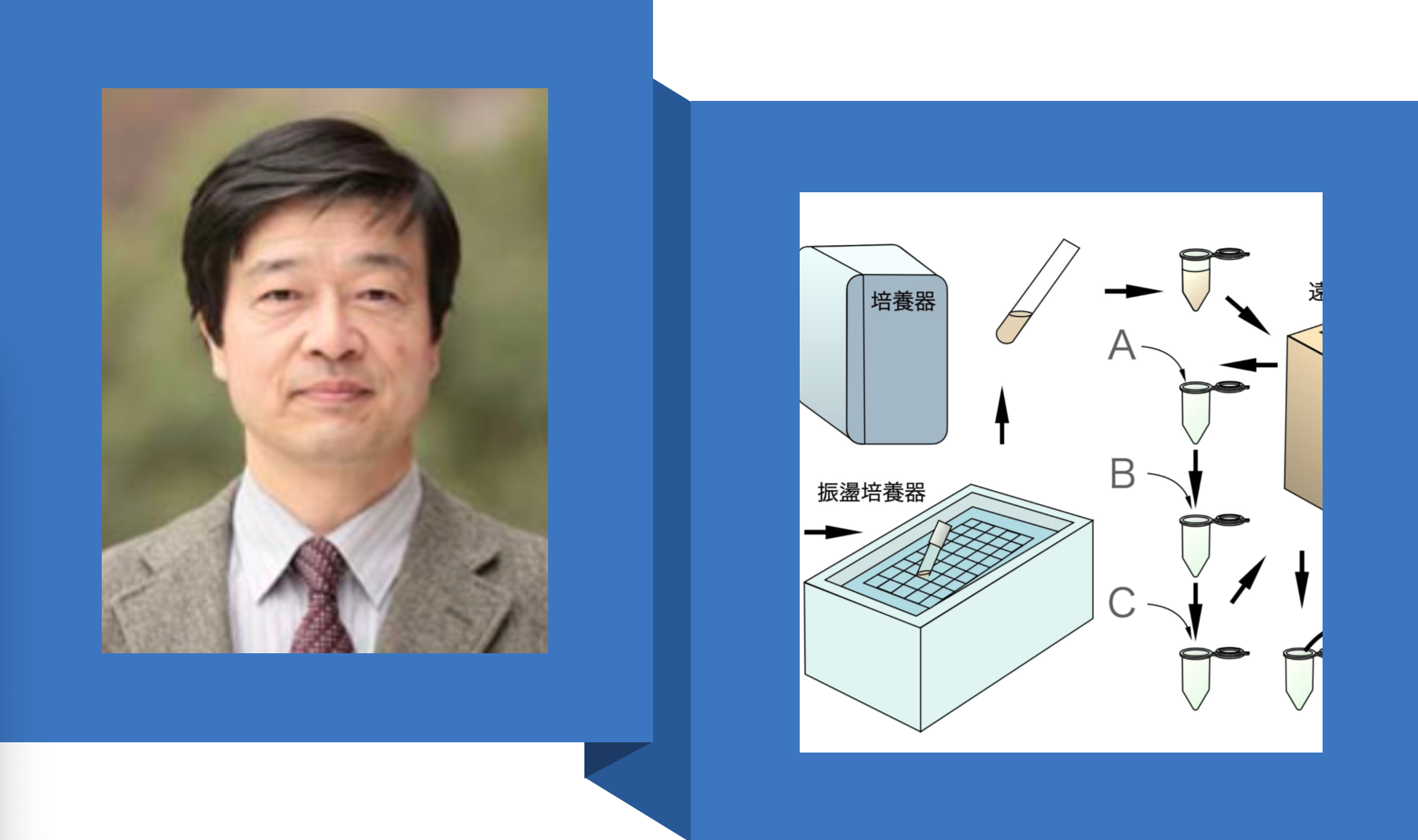 山岸明彦先生の名誉教授コラムが更新されました