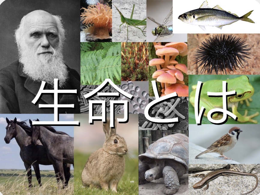 山岸明彦先生の名誉教授コラムが更新されました「生命とは： 正確に」
