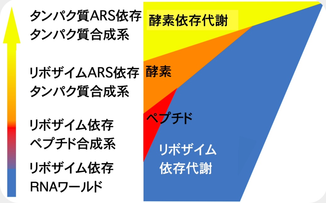 RNAワールド２