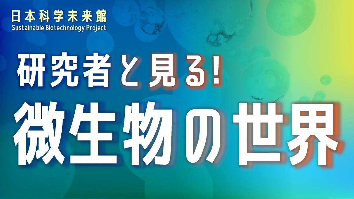生命科学部 生命エネルギー工学研究室 渡邉教授が日本科学未来館入居プロジェクトでイベントを実施しました