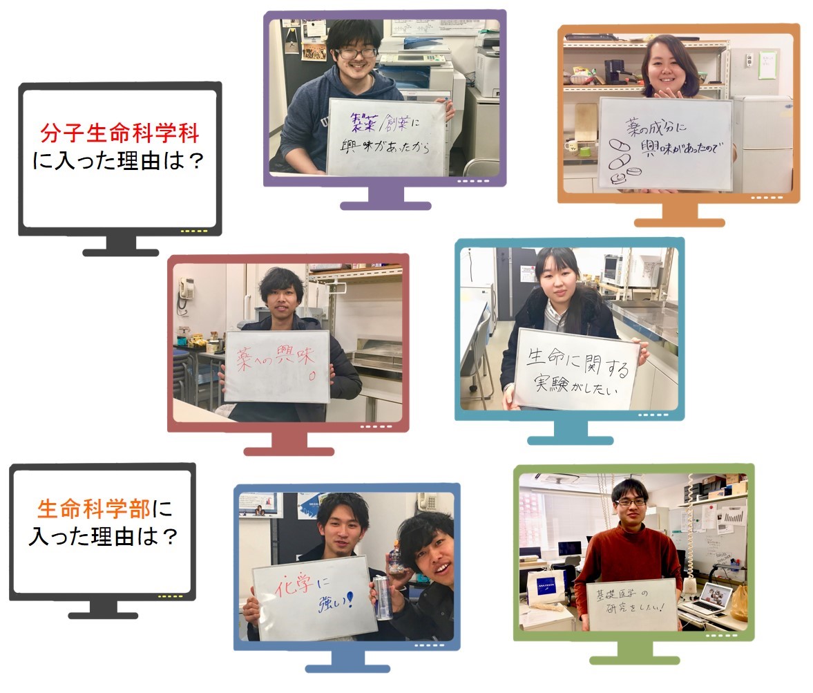 「研究室で聞きました ～ 何でこの学科を選んだの？」｜生命科学部：ニュース&トピックス - 2019年度｜東京薬科大学