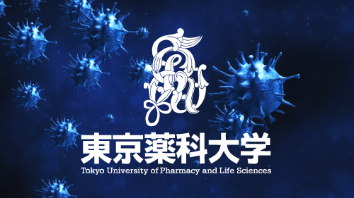 NHKニュースなど各種メディアで生命科学部・伊藤久央教授が取り組む新型コロナウイルス研究が紹介されました