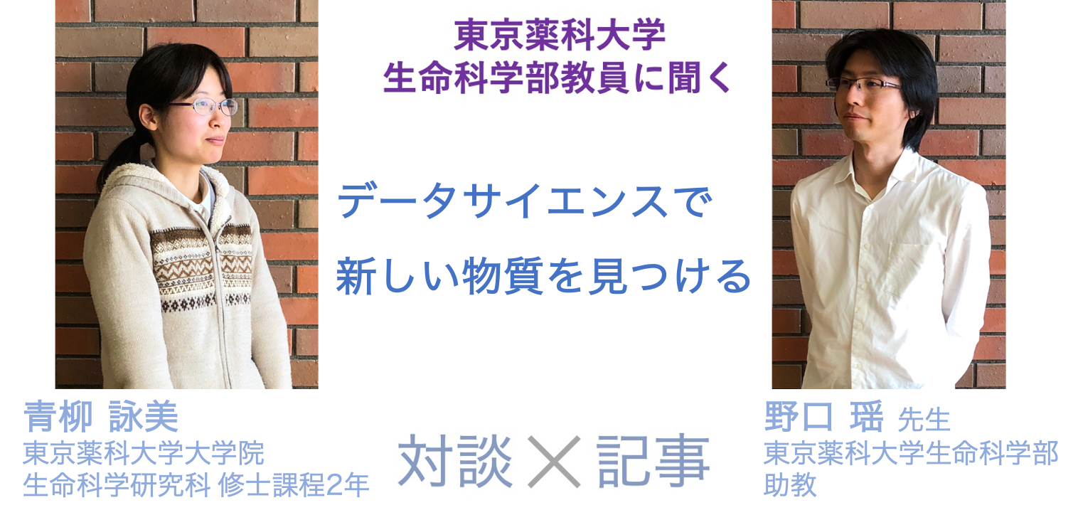 分子生命科学科　教員インタビュー第6回　野口瑶先生