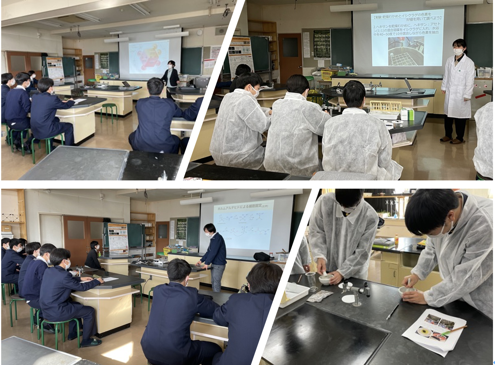 福島成蹊高校での高大連携イベントで藤原教授、前本助教が講演しました。