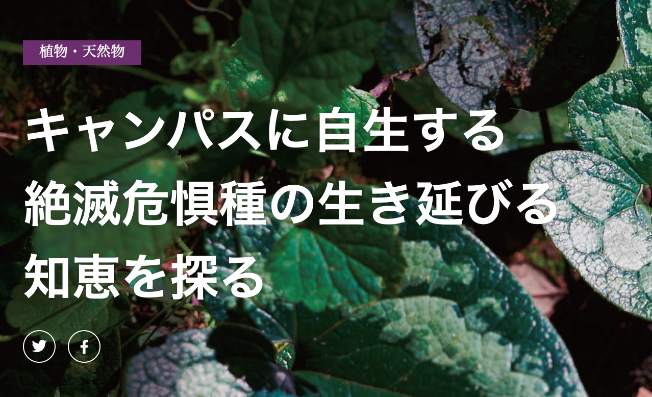 応用生態学研究室 野口航先生の研究に関する記事がCERTに掲載されました