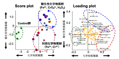 molbio-key27-image02.png