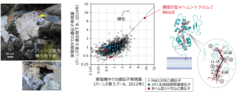 press02040612_image3.png