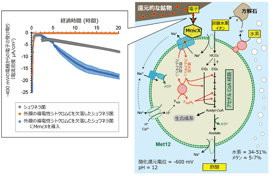 press02040612_image4.png