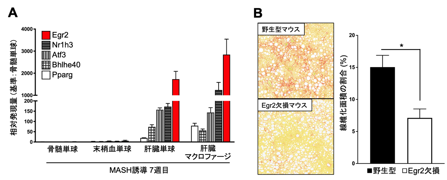 press_tanaka01.png
